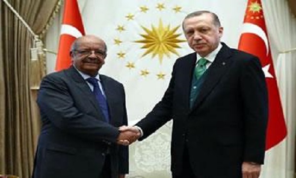 La visite du président turc, recep Tayyib Erdogan , suscite des réactions contradictoires : Un partenaire encombrant?