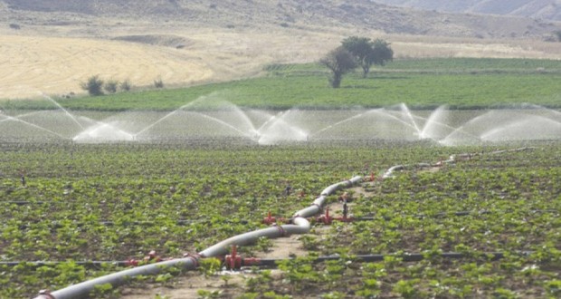 périmètre irrigué Tafna-Isser (Tlemcen) : Lancement prochain des travaux d’aménagement
