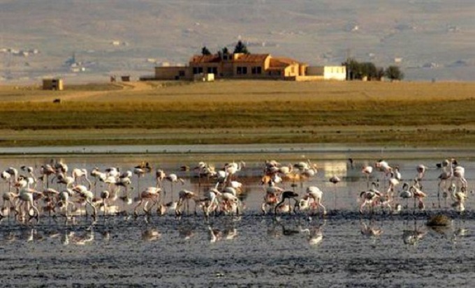 Zones humides: le PNEK, un réservoir exceptionnel de la biodiversité dans la Méditerranée
