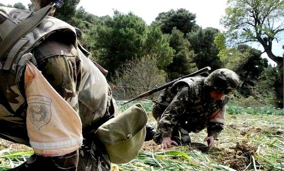 Boumerdès : Destruction d’une bombe de confection artisanale