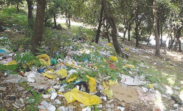 Bordj Bou-Arréridj : Les dépôts sauvages d’ordures en forêt, une fatalité ?