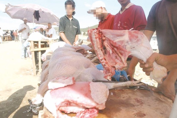 AÏN TÉMOUCHENT : Les pratiques commerciales illicites, objet d’une journée d’étude