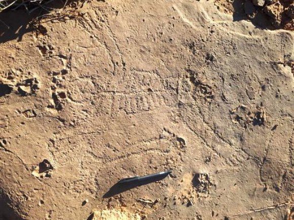 Ghardaïa : Nouvelles découvertes de trois gisements d’art rupestre dans la région de Berriane