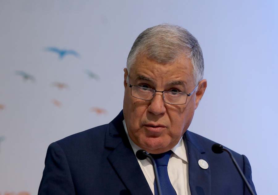 Energie : Guitouni s’entretient au Caire avec ses homologues égyptien et sud-africain