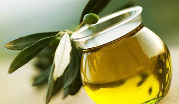 TIZI OUZOU : 9 millions de litres d&rsquo;huile d&rsquo;olive produits