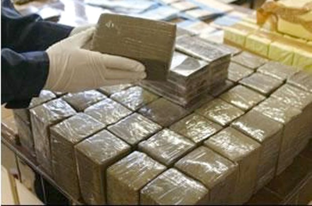 Tlemcen: Deux baudets chargés de 257 kg de kif interceptés à la frontière