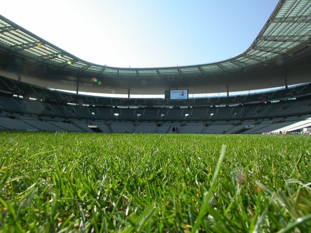 Un diplôme d&rsquo;expert en élevage de gazon naturel souhaité (MJS)