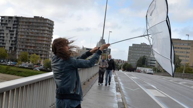 Alerte Météo : Des rafales de vent à 80 km/h sur 6 wilayas