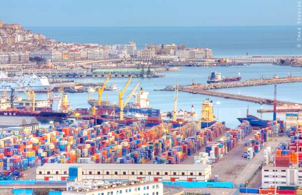 Exportations, investissements, partage d’expérience…: L’Algérie déclare sa flamme à l’Afrique