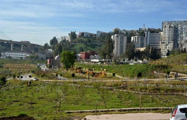 Instauration  du Prix du président de la République de la ville verte