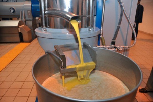 Valorisation de l’olive dans le cadre du plan d&rsquo;action pilote de développement agricole et rural