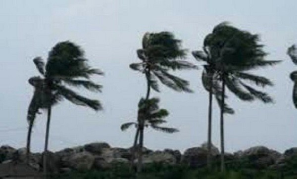 Des vents assez forts toucheront une dizaine de wilayas du pays à partir de vendredi