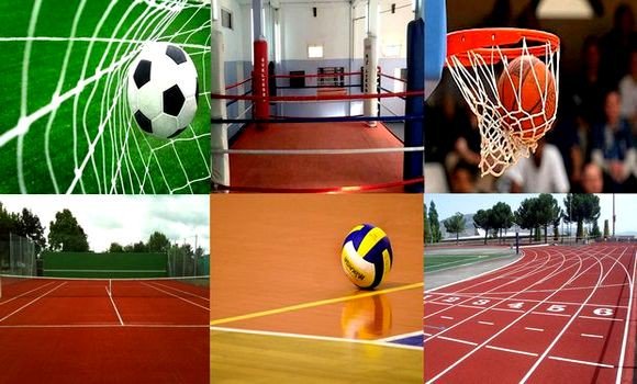 Un nouveau plan pour le développement du sport en fonction des particularités de chaque wilaya