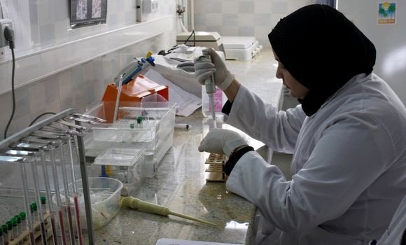 La concrétisation de Dire-Med impulsera la formation scientifique sur les deux rives de la Méditerranée