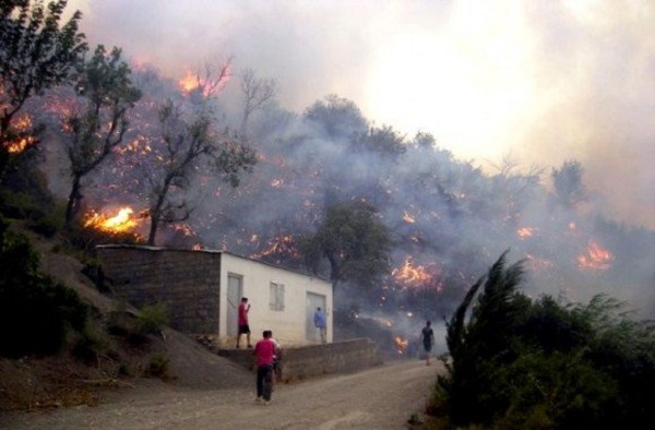 Tizi-Ouzou: Un taux de 60% de réalisation du programme de prise en charge des dégâts des incendies