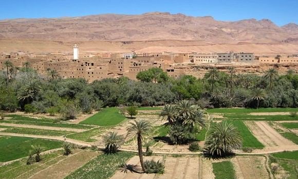 Agriculture: résultats « remarquables » enregistrés ces dernières années à Ghardaïa