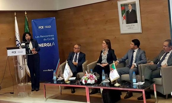 Energies renouvelables : l&rsquo;Algérie veut se doter de sa propre industrie