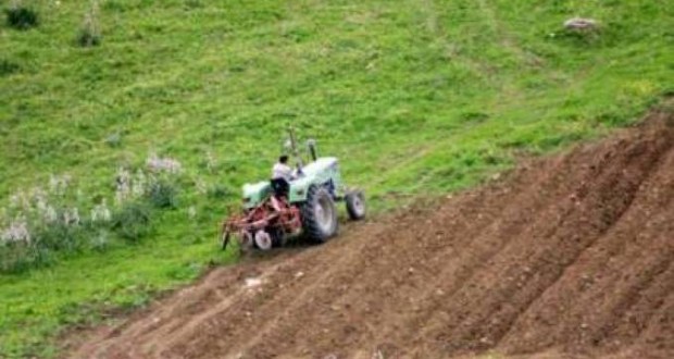 Aïn Defla : L’importance de la culture de l’assurance chez les agriculteurs soulignée par la CNMA