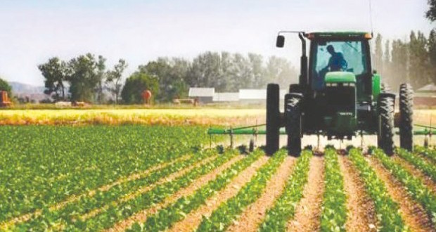 Agriculture durable et sécurité alimentaire en débat à Médéa