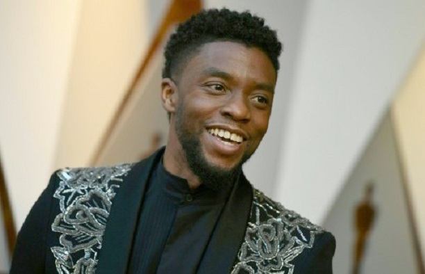 Box office : «Black Panther» dépasse 500 millions de dollars en Amérique du Nord