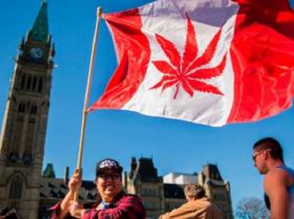 Canada : un projet de loi autorisant la consommation de cannabis
