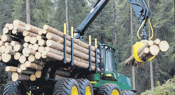 Économie forestière à Chlef : De grandes potentialités et des perspectives prometteuses