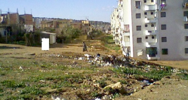 Bouira : Les espaces verts et aires de jeux se dégradent