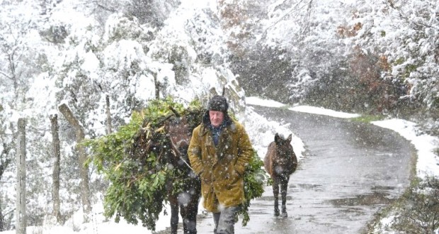 L’Europe continue à grelotter sous le froid sibérien : Au moins 40 morts