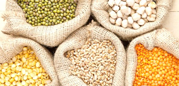 Agriculture : Hausse de la surface consacrée aux légumes secs à Constantine