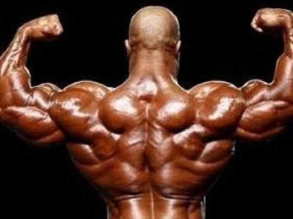 La « Diamant Cup Algérie IFBB » de bodybuilding et men&rsquo;s physique vendredi et samedi à Oran