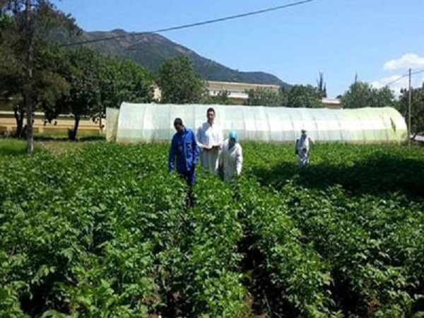 Exploitations agricoles : Bouazghi annonce l&rsquo;attribution de 188 000 actes de concession