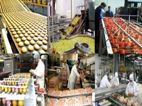 Agroalimentaire : Le secteur occupe 23% de la population active en Algérie