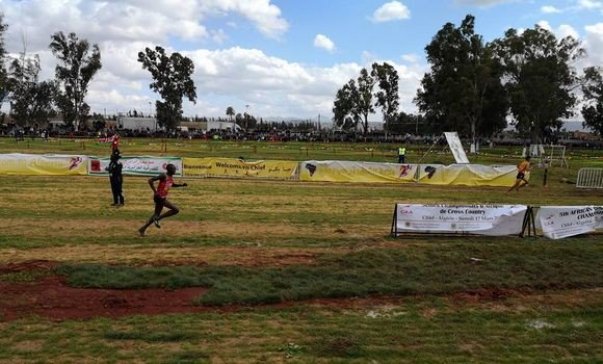 Championnats d’Afrique de cross: le Kenya et l’Ethiopie raflent la mise, l’Algérie loin derrière