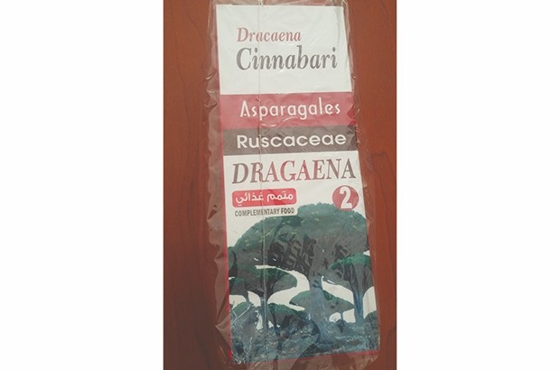 Le yéménite Mohamed el-halabi prétend détenir des remédes miracles :  Ce charlatan qui investit dans la détresse des cancéreux
