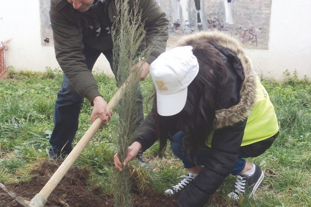 SON LANCEMENT EST PRÉVU À AÏN EL-HAMMAM : Opération “Un arbre, une maison”