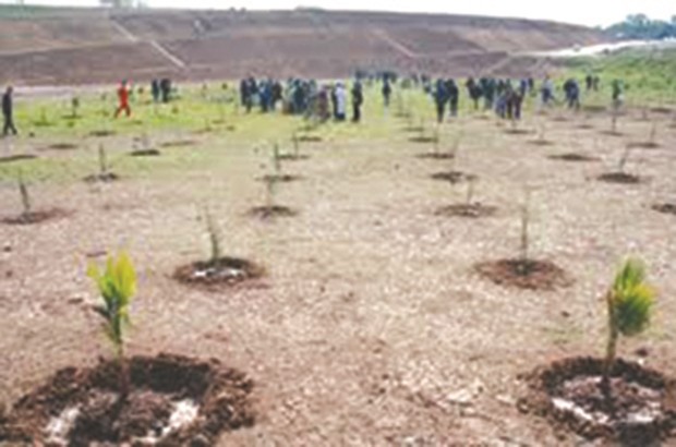 SKIKDA : Plantation de 1 000 arbustes au barrage de Zit Emba