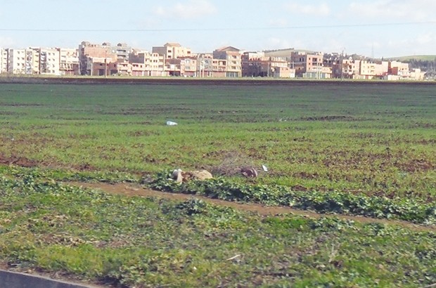 Quatre exploitations agricoles et deux fermes-pilotes menacées