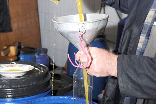 Production d&rsquo;huile d&rsquo;olive : Une filière phagocytée par l’informel