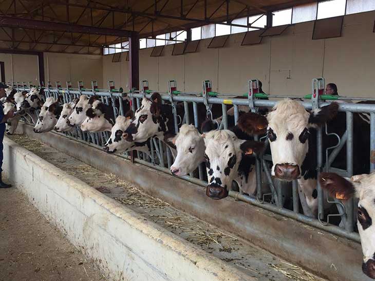 Agriculture et élevage : La 3eme rencontre Algéro-Française prévue les 24 et 25 avril