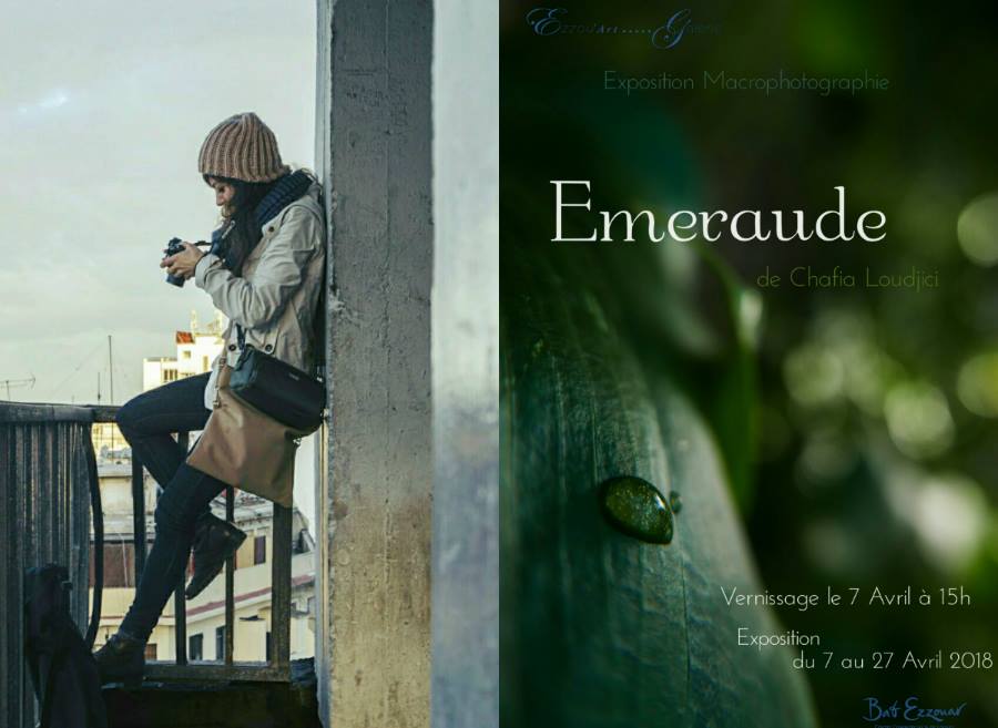 Exposition macrophotographique « Émeraude » le 7 avril 2018