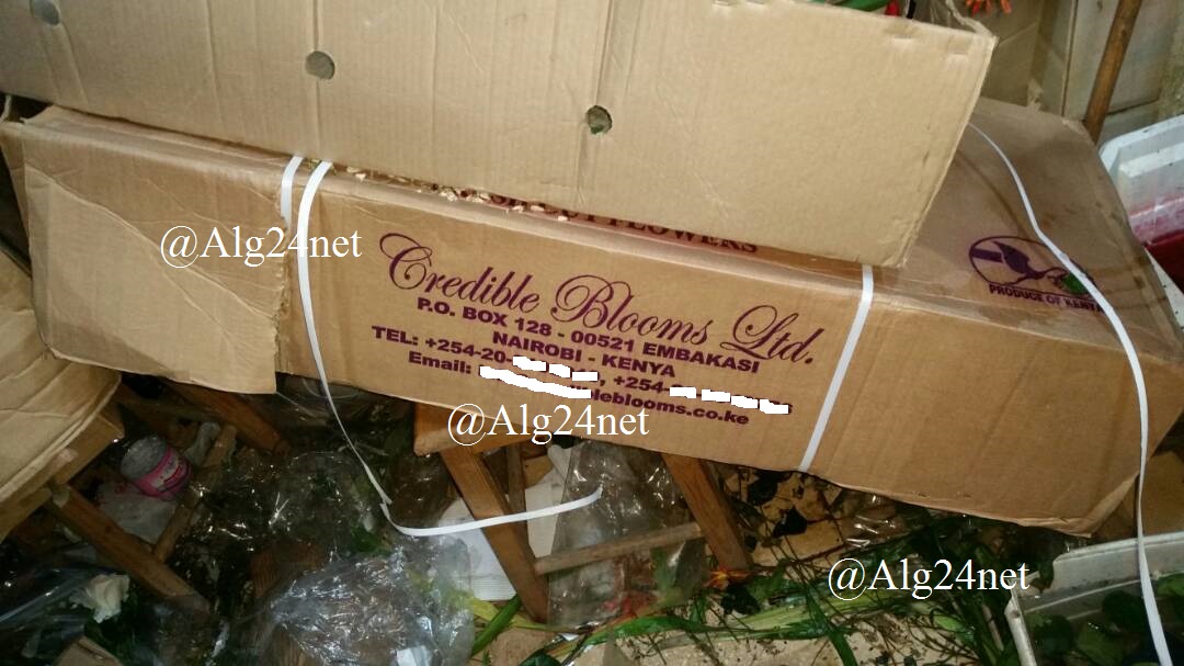 L’Algérie importe des fleurs depuis le Kenya