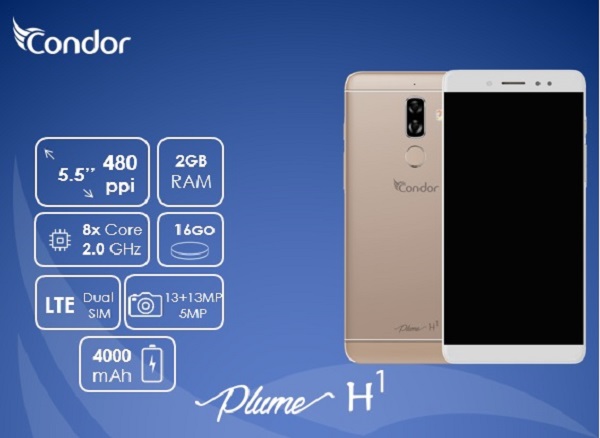 Les L1 et H1 disponibles sur le marché