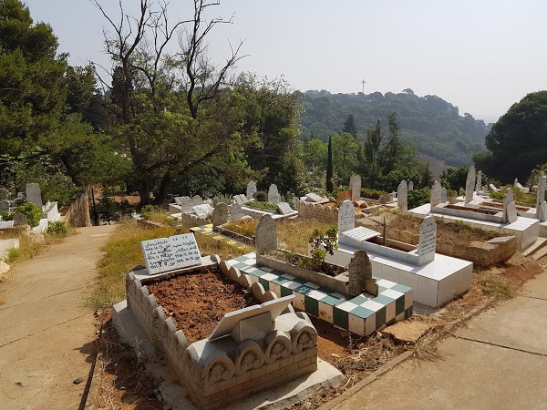 Travaux de réalisation de 11 nouveaux cimetières dans la wilaya d’Alger