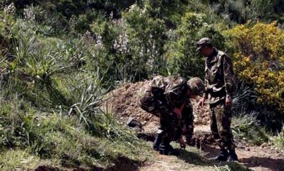 Six (06) bombes de confection artisanale découvertes et détruites à Batna (MDN)
