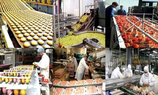 Bouazghi : les assises nationales de l’agriculture prévues en avril