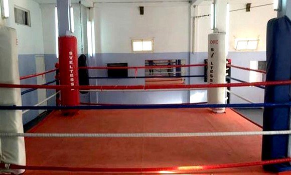 Boxe féminine/Championnat national: les pugilistes de Tizi Ouzou et de Béjaia dominent la compétition