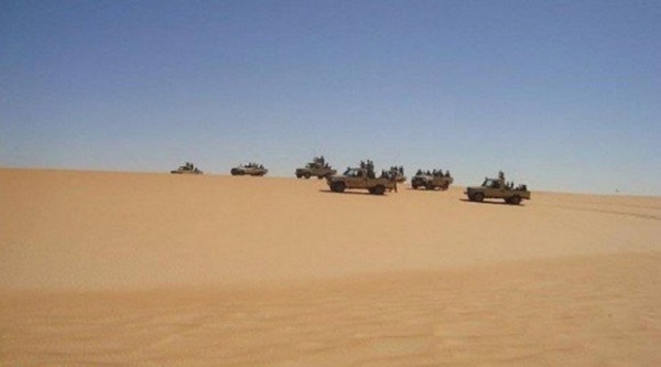 Quatre narcotrafiquants interceptés et plus de 180 kg de kif traité saisis à Tlemcen et Bechar (MDN)