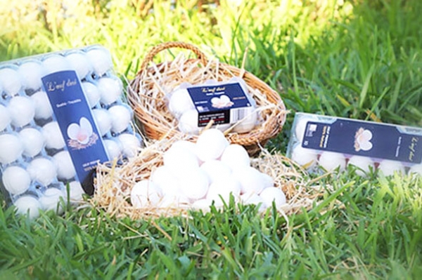 Développement de l’industrie de transformation, Groupe Bali : De l’œuf premium à la production de mayonnaise locale