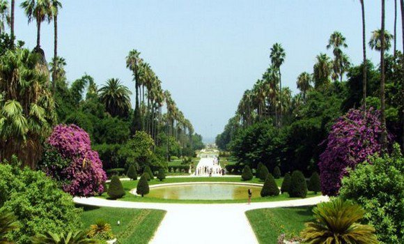 Hausse des recettes du Jardin d&rsquo;Essai du Hamma (Alger) estimée à plus de 168 millions Da en 2017