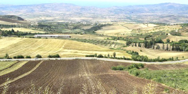 Restitution des terres agricoles inexploitées à El-Tarf : Installation d’une commission de wilaya